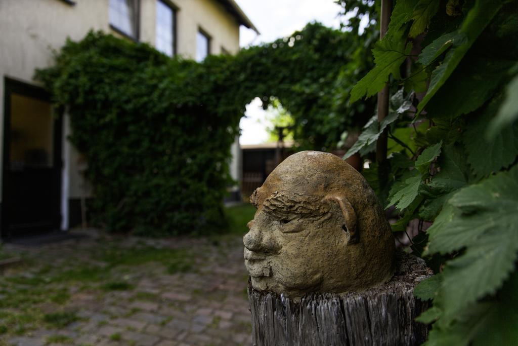 Pension Altstadt Borna Dış mekan fotoğraf