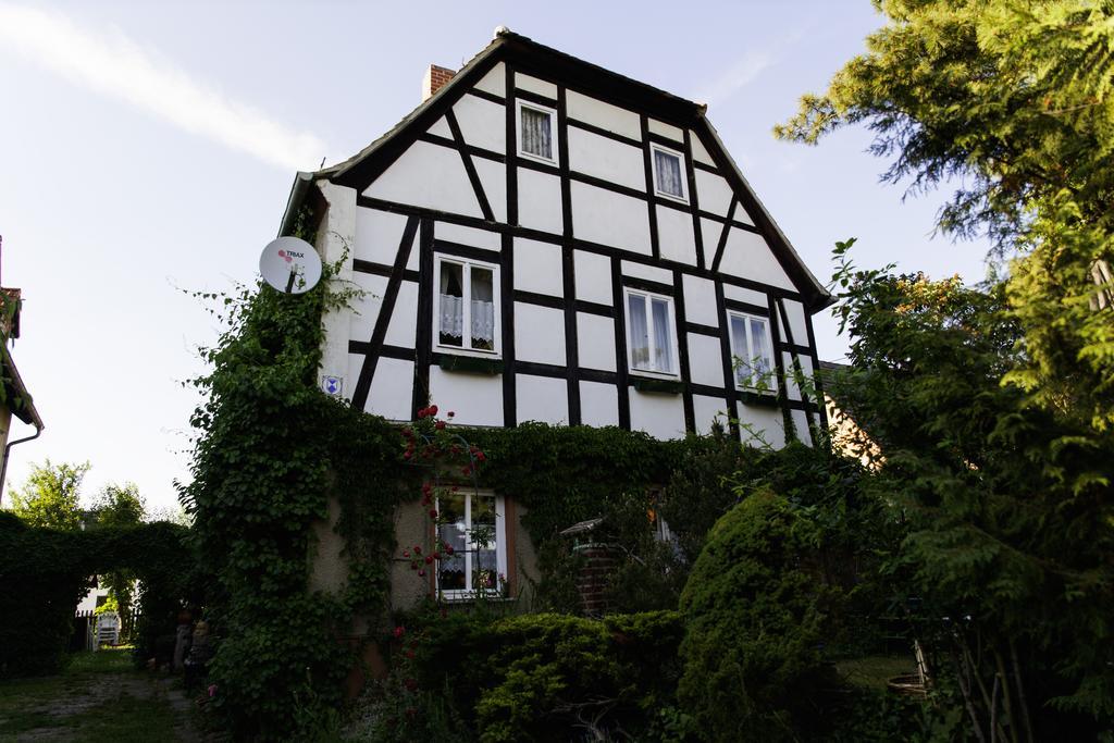 Pension Altstadt Borna Dış mekan fotoğraf