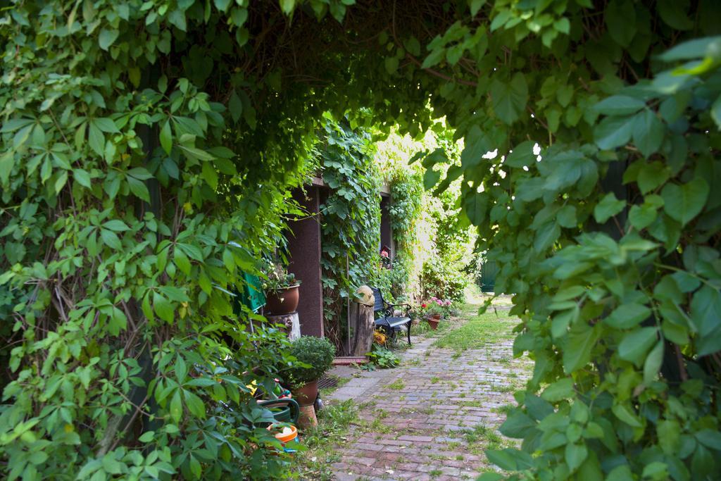 Pension Altstadt Borna Dış mekan fotoğraf