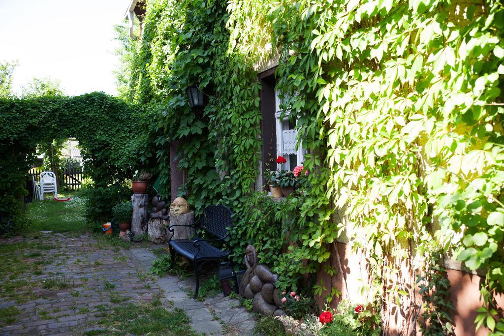 Pension Altstadt Borna Dış mekan fotoğraf