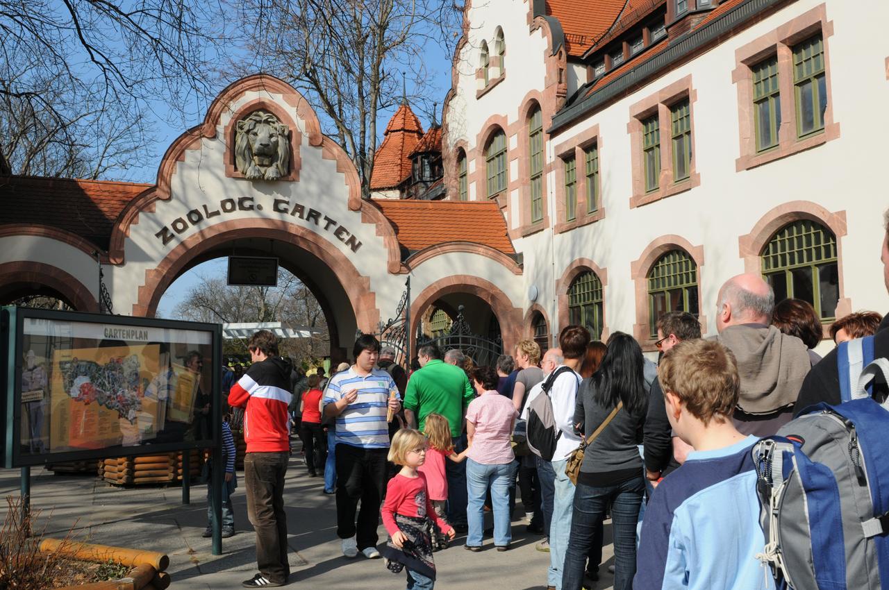 Pension Altstadt Borna Dış mekan fotoğraf
