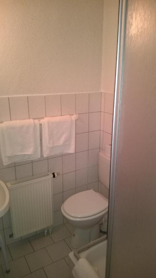 Pension Altstadt Borna Dış mekan fotoğraf